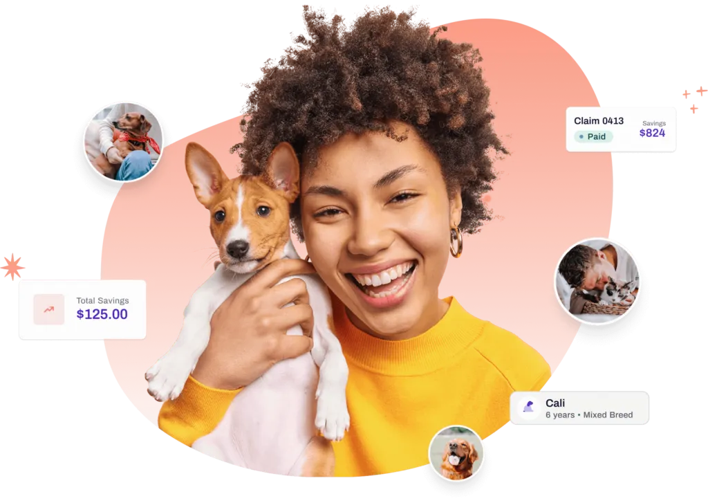 Odie pet insurance platform interface