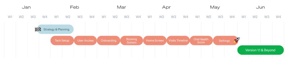 Project timeline and delivery milestones