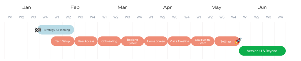 Project timeline and delivery milestones
