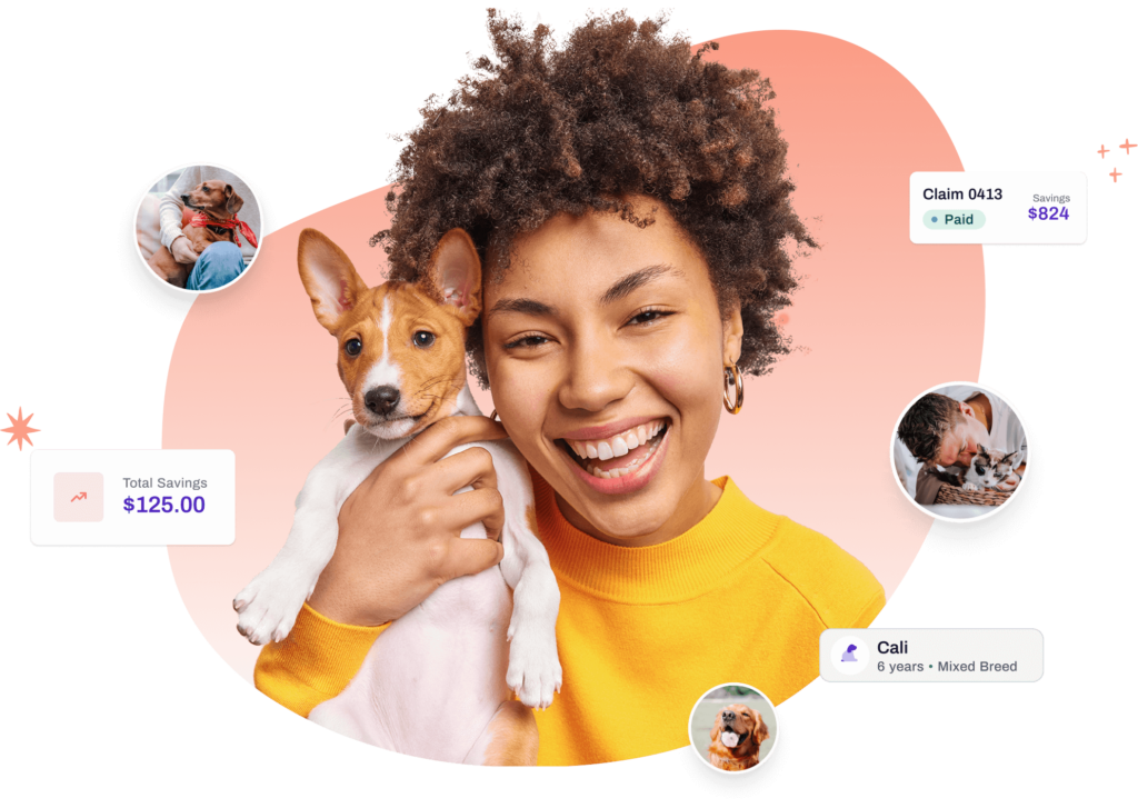 Odie pet insurance platform interface